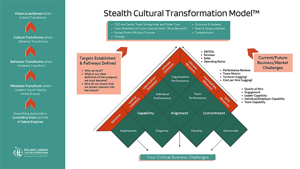 Stealth Cultural Transformation Model