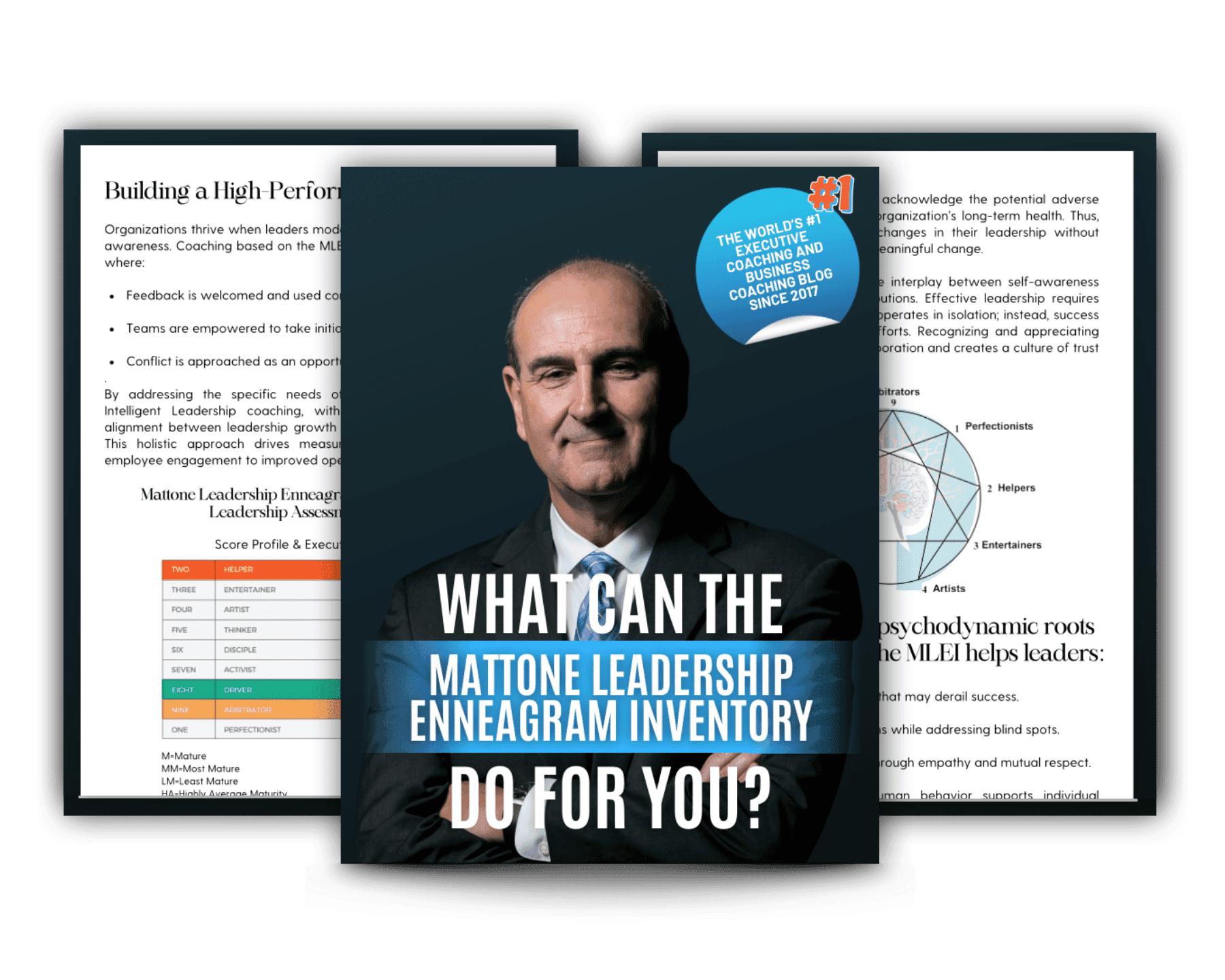 What Can the Mattone Leadership Enneagram Inventory Do for You?