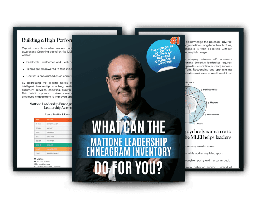 MLEI® Interpretive Guide