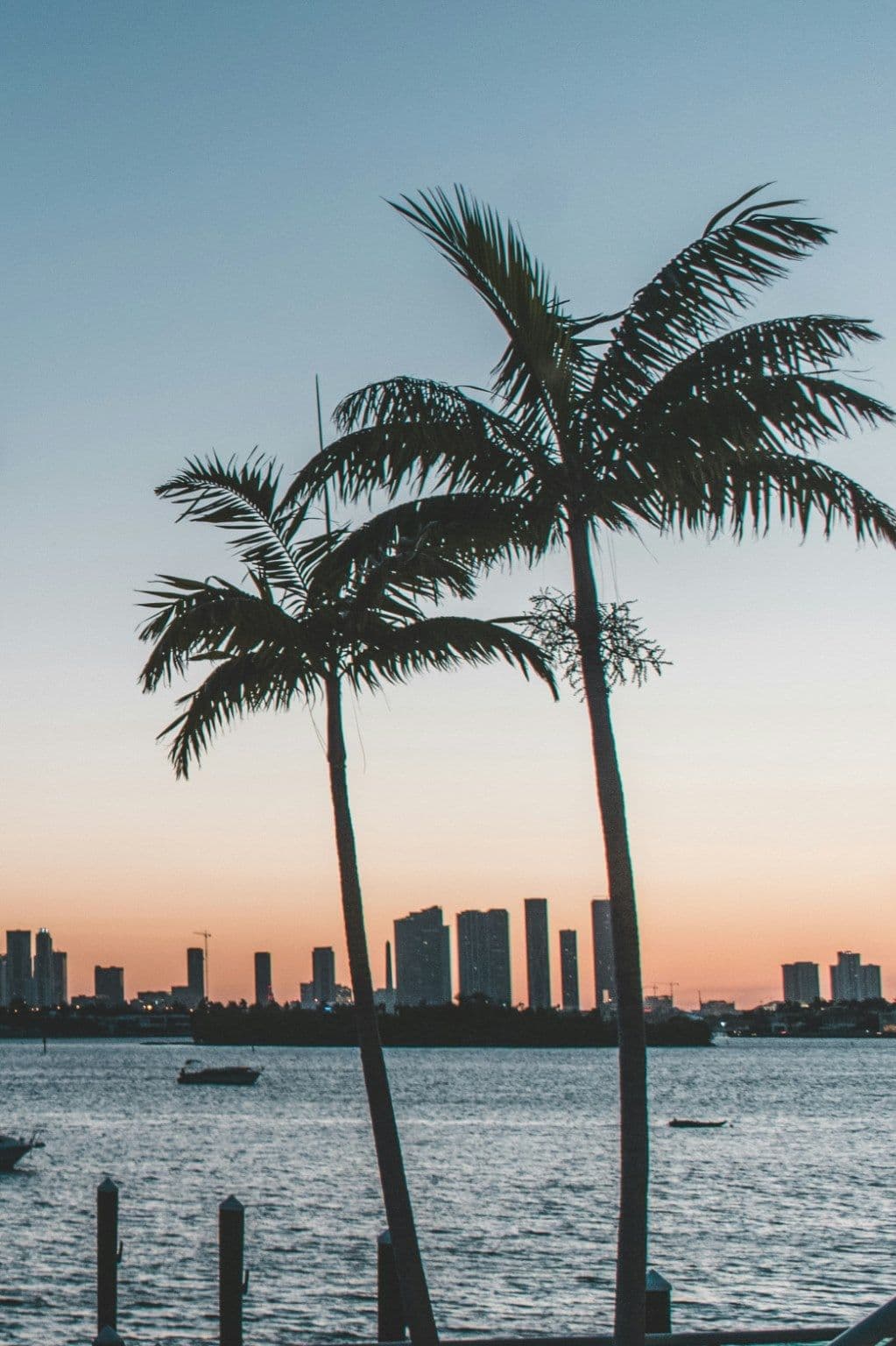 Florida coastline and skyline
