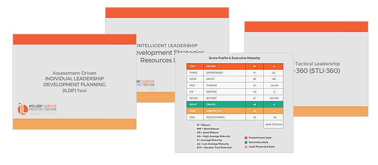 score profile and executive maturity