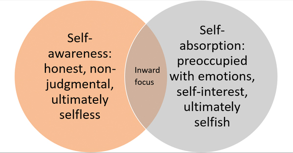 Qual é a diferença entre self awareness e self consciousness ?