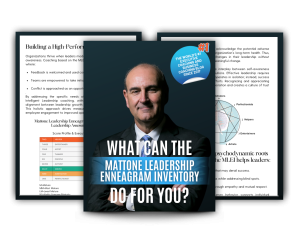 what can MLEI do for you